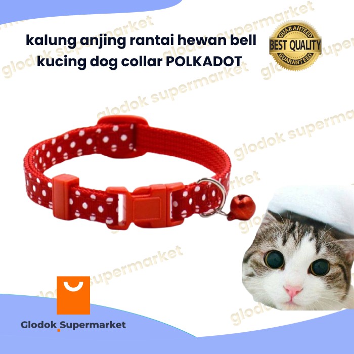 kalung anjing rantai hewan bell kucing dog collar POLKADOT