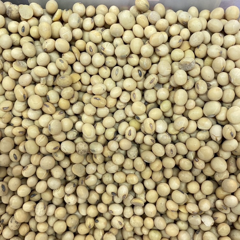 

Kacang kedelai/ Kacang kedele 500gr