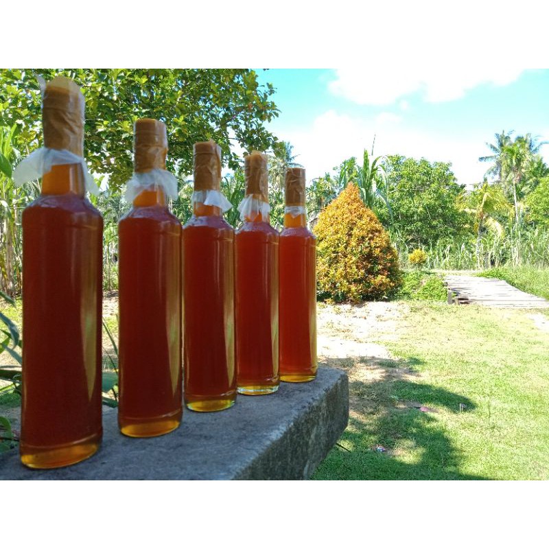 

Madu Kelulut Klanceng (Trigona itama) [1 kg]