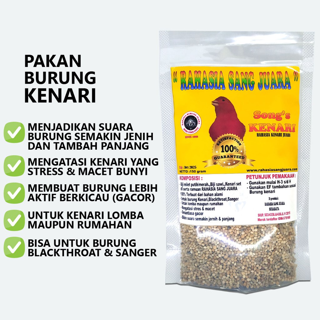 PAKAN BURUNG KENARI GACOR LOMBA MAUPUN HARIAN