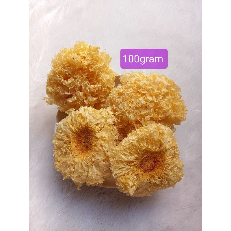 

Jamur Salju Premuim Kuning 100gr/ Dried Snow White Fungus