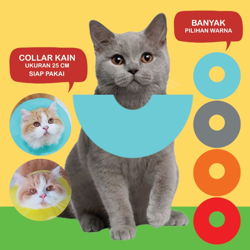 Jual collar kucing Harga Terbaik - November 2021  Shopee Indonesia