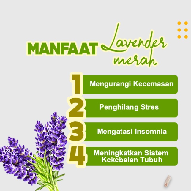 Dupa/Hio Wangi Harum Lavender Merah Baladewa 3 Jam Kaki Emas 50 Stick