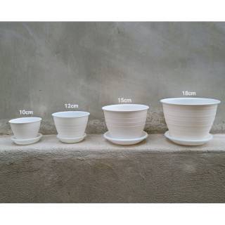  POT  TAWON  12 CM POT  MADU 12CM Shopee  Indonesia