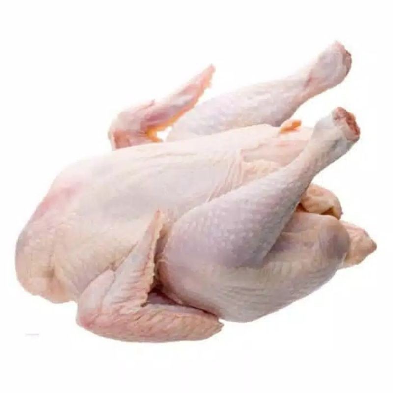 

KangSayur - AYAM BOILER 1 EKOR / DAGING AYAM SEGAR (Bukan Frozen)