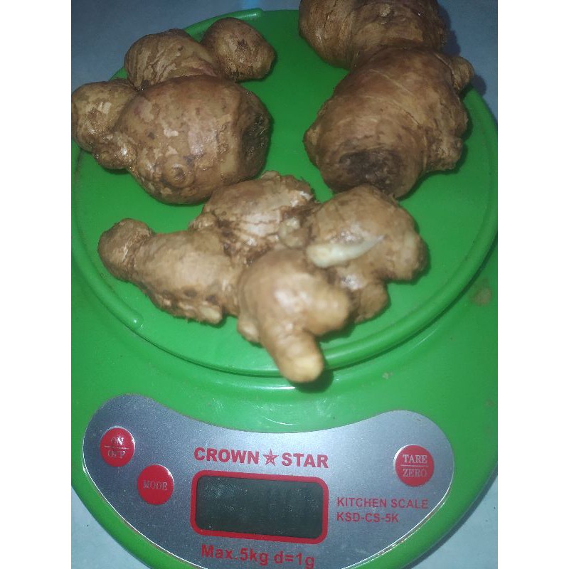 

Jahe Gajah Konsumsi 200 gr