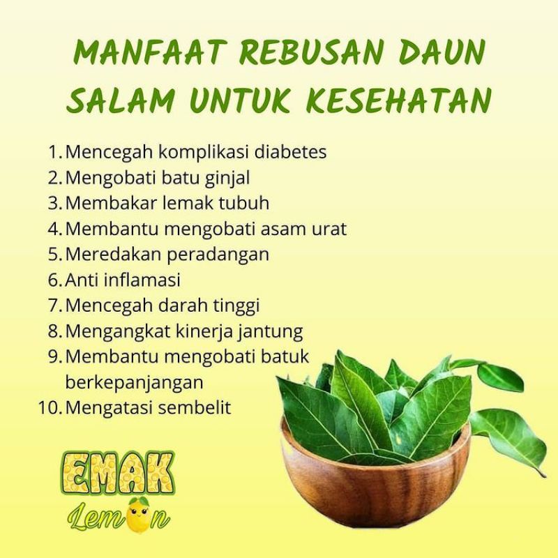 

Daun Salam Kering Kaya Manfaat Berat 10g