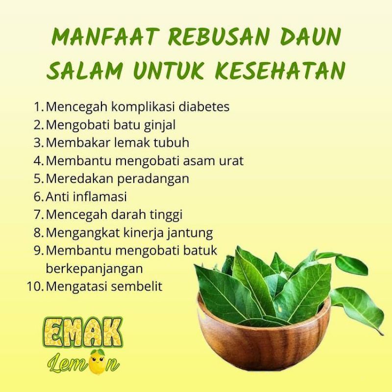 Jual Daun Salam Kering Kaya Manfaat Berat 10g | Shopee Indonesia