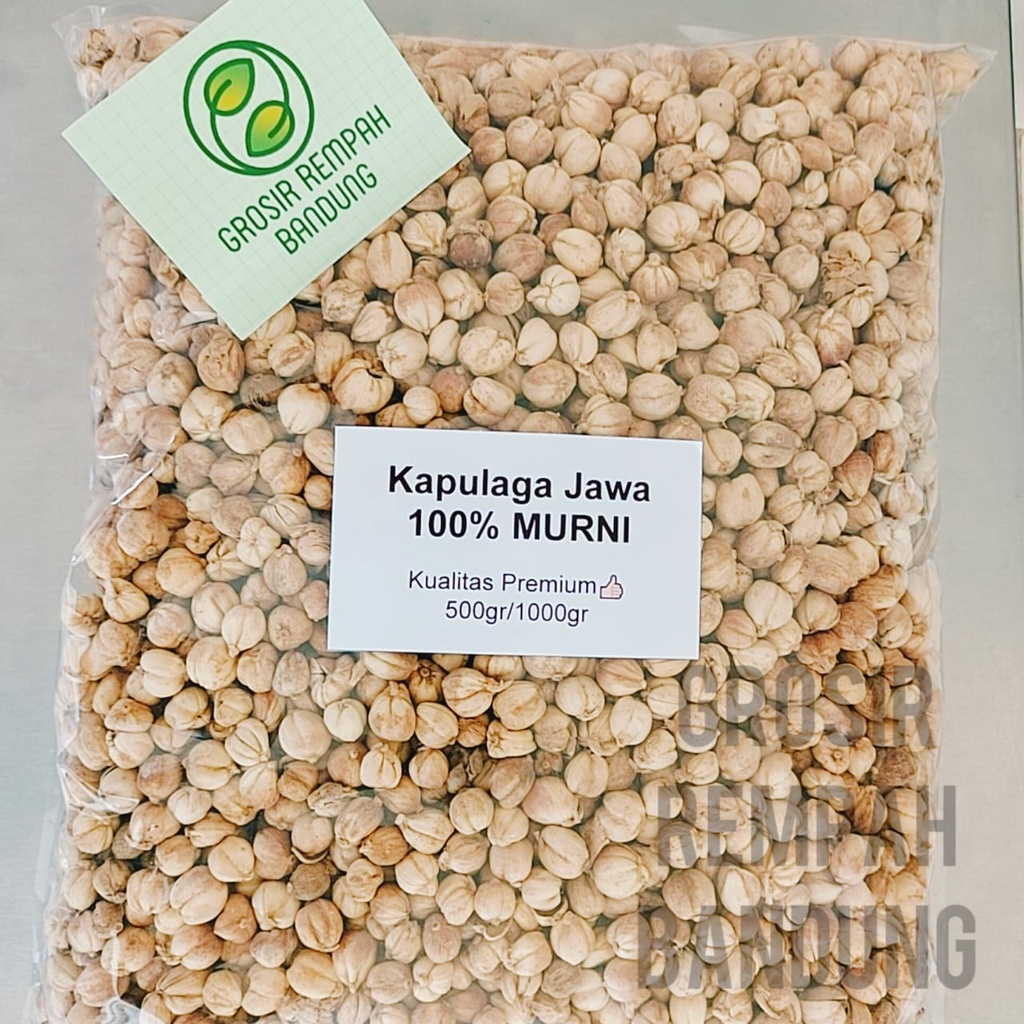 

Kapulaga Jawa / Bersih Pilihan / Tanpa Pemutih / Rempah / Kualitas Terbaik