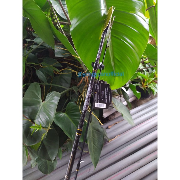 JORAN LOOMIS JAVELIN II 1.8 M MEMARIT/ISEH FAUZI GUIDES