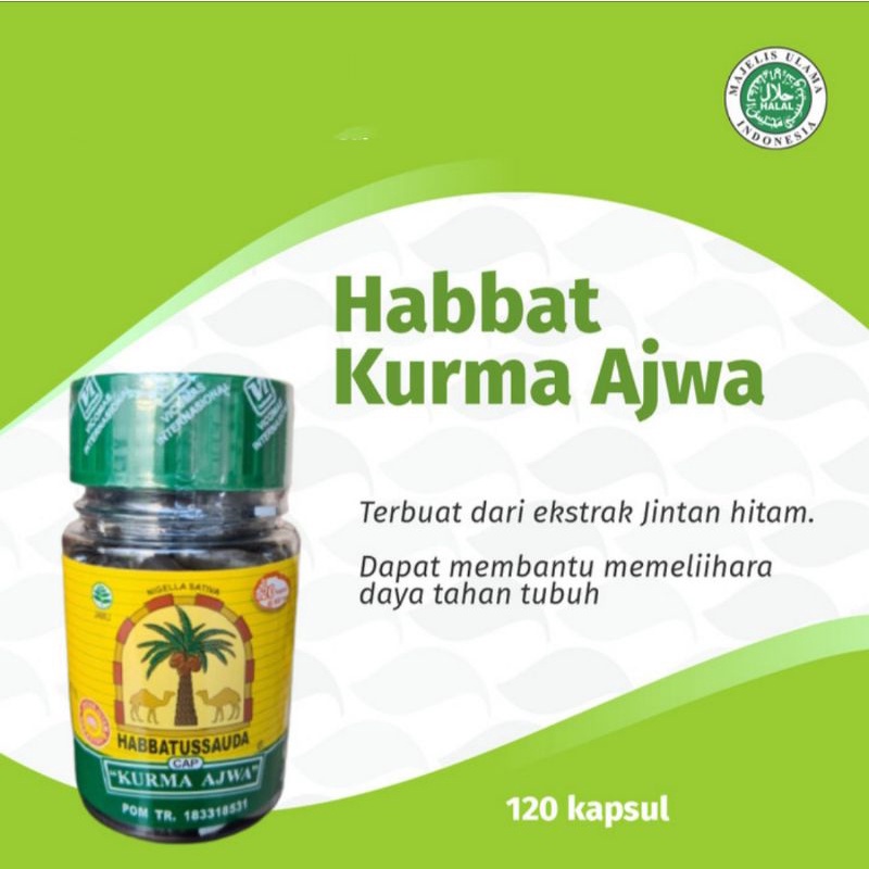 

HABBATUSSAUDA/JINTAN HITAM SEBUK menjaga imunitas/daya tahan tubuh,mengobati jantung,kolesterol,dll