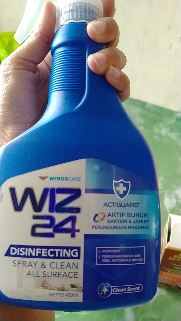 Wiz 24 Disinfectan Spray Btl 450 Ml