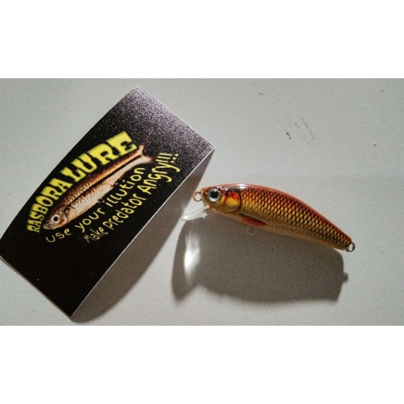 rasbora lure Agile