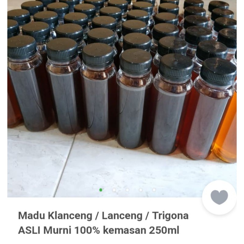

Madu Klanceng 1 botol marjan (sanad terpercaya)