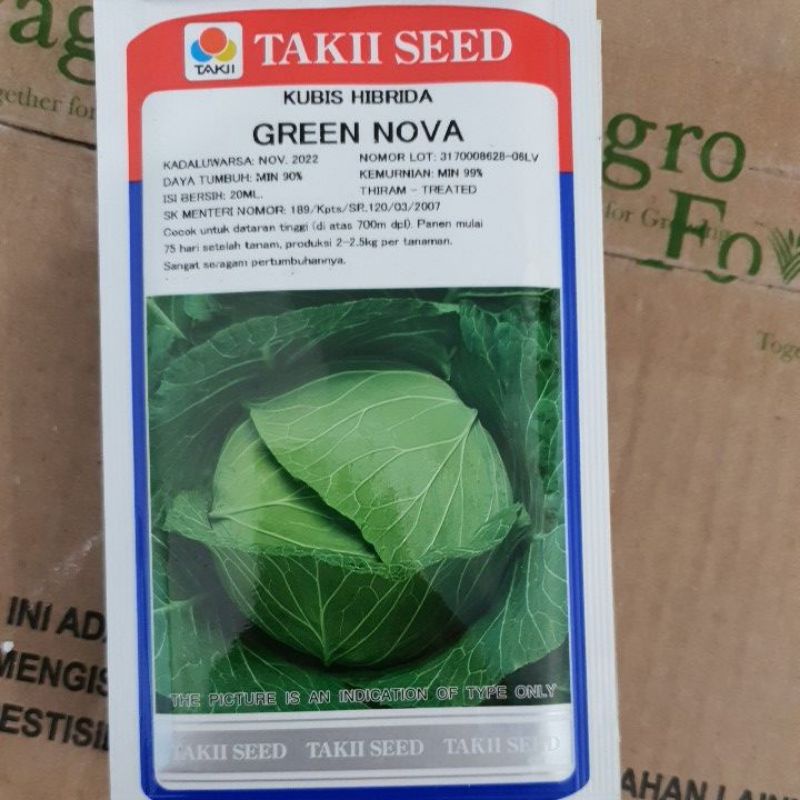 Benih kubis kol Green Nova