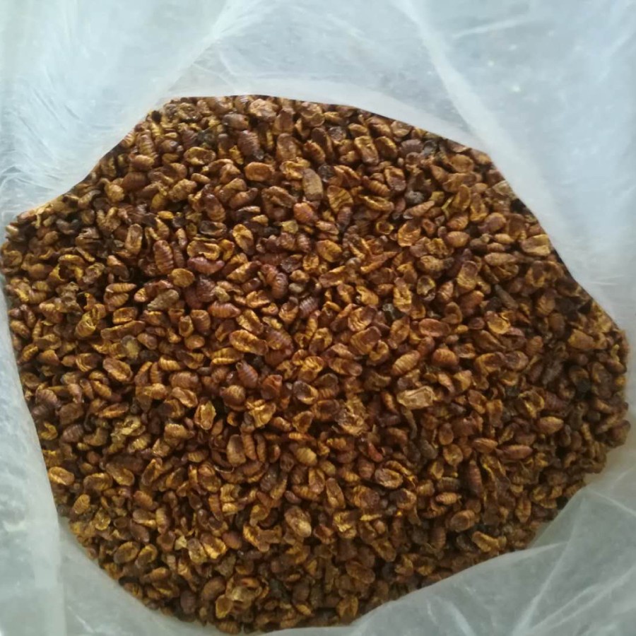 Nippon Silkworm Pupae 1kg 1 kg Ulat Sutra Makanan Ikan Koi Arwana Food