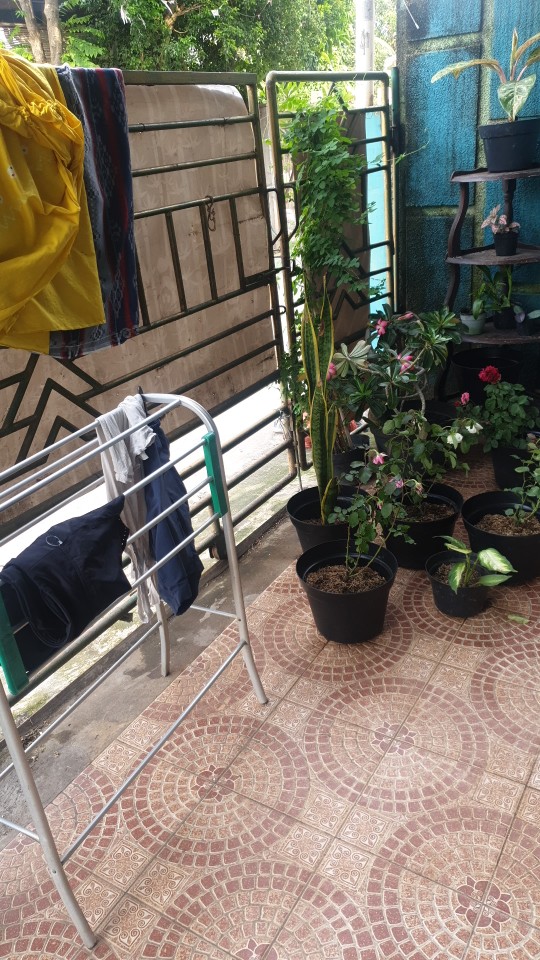 Pot Bunga Plastik Tawon 22 Cm Putih