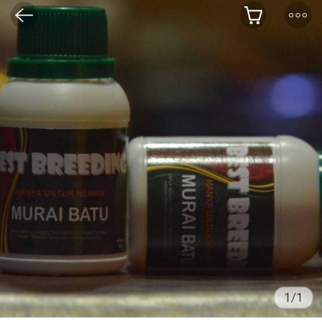 Best Breeding Murai Batu 80 ML