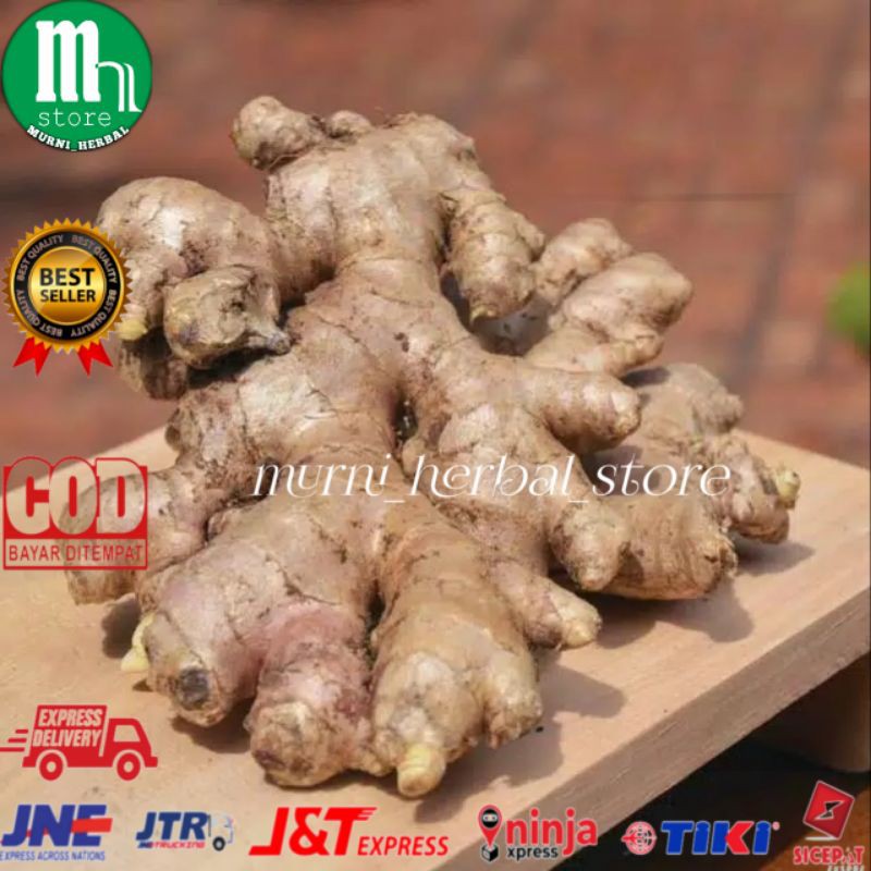

Tanaman herbal jahe putih segar 100gram Mh_Store.