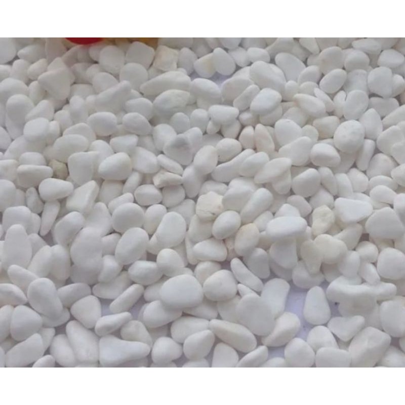 BATU PUTIH SALJU HIAS AQUARIUM, BATU HIAS KAKTUS, BATU TAMAN SNOW WHITE 200 gram