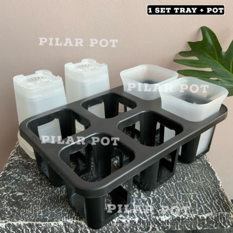 1 set Tray + POT BUNGA NKT KOTAK 7 CM BENING TRANSPARAN | tray semai bibit