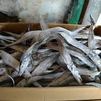 

IKAN ASIN LAYUR 250gr - Bakoel Teri Pasar