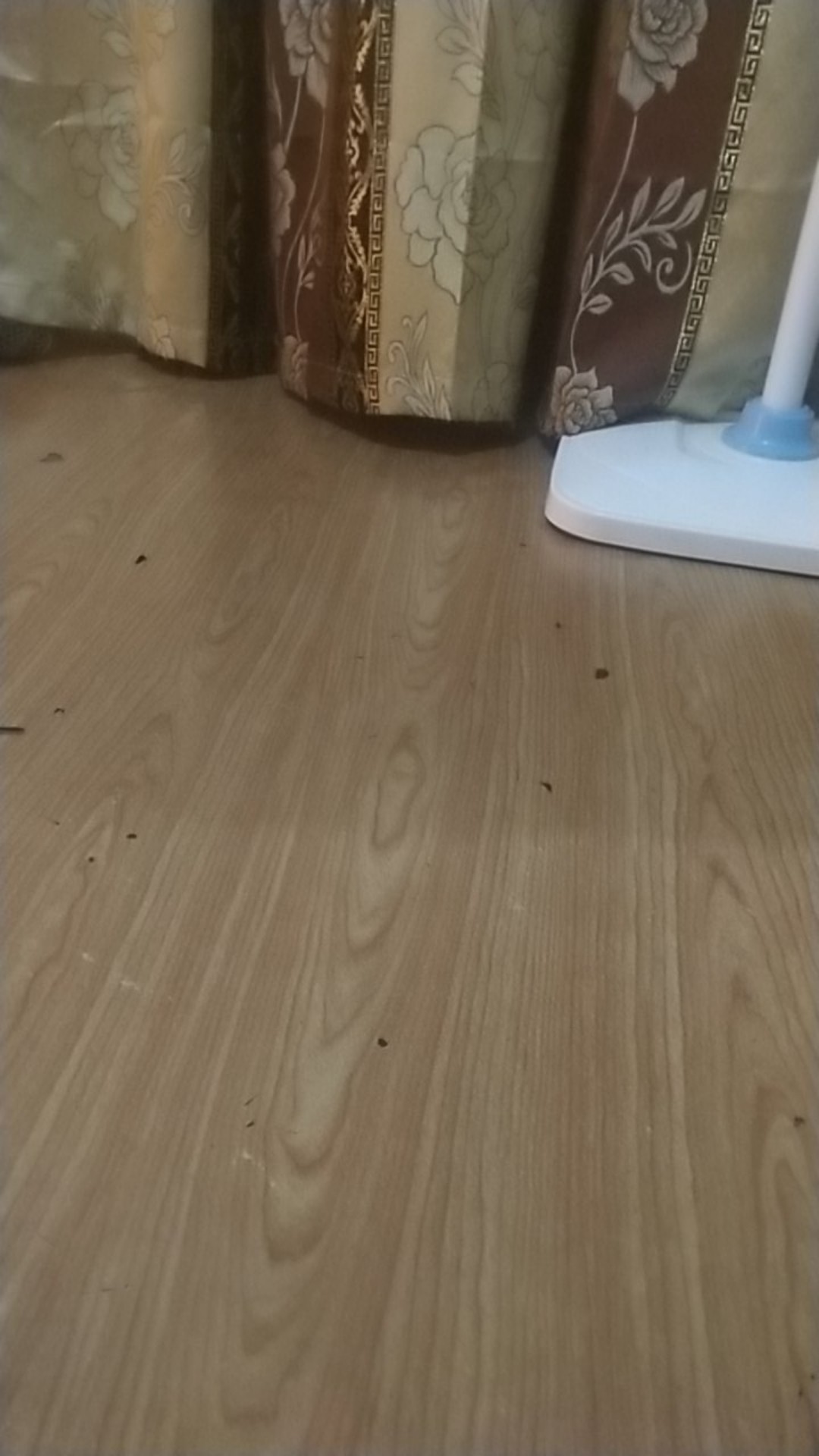 Cetakan Bolu Kukus Pendek Bolong