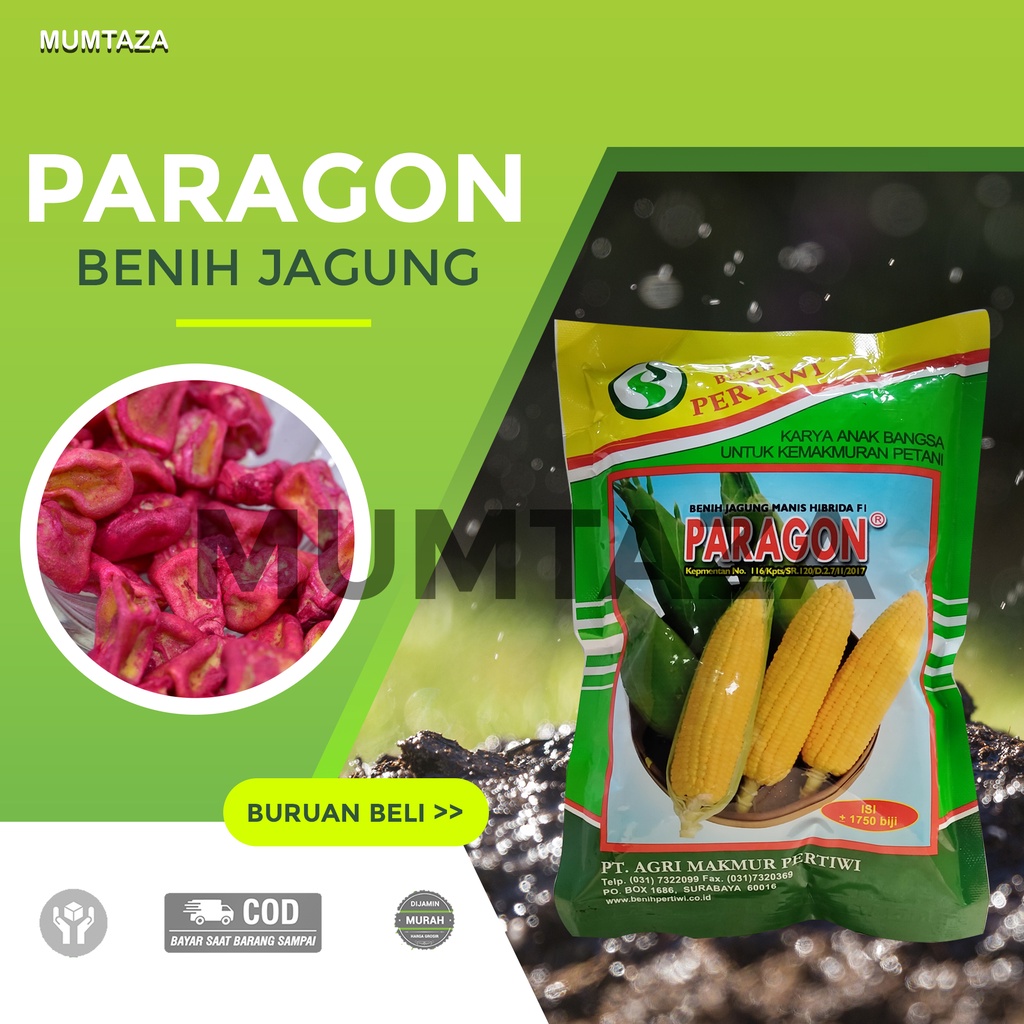 Jual Benih Jagung Manis Hibrida F1 Paragon Kemasan Repack Shopee