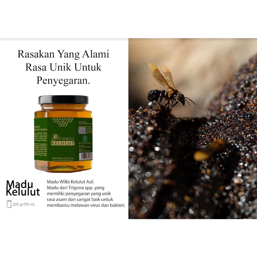 

Madu Kelulut Wilbi