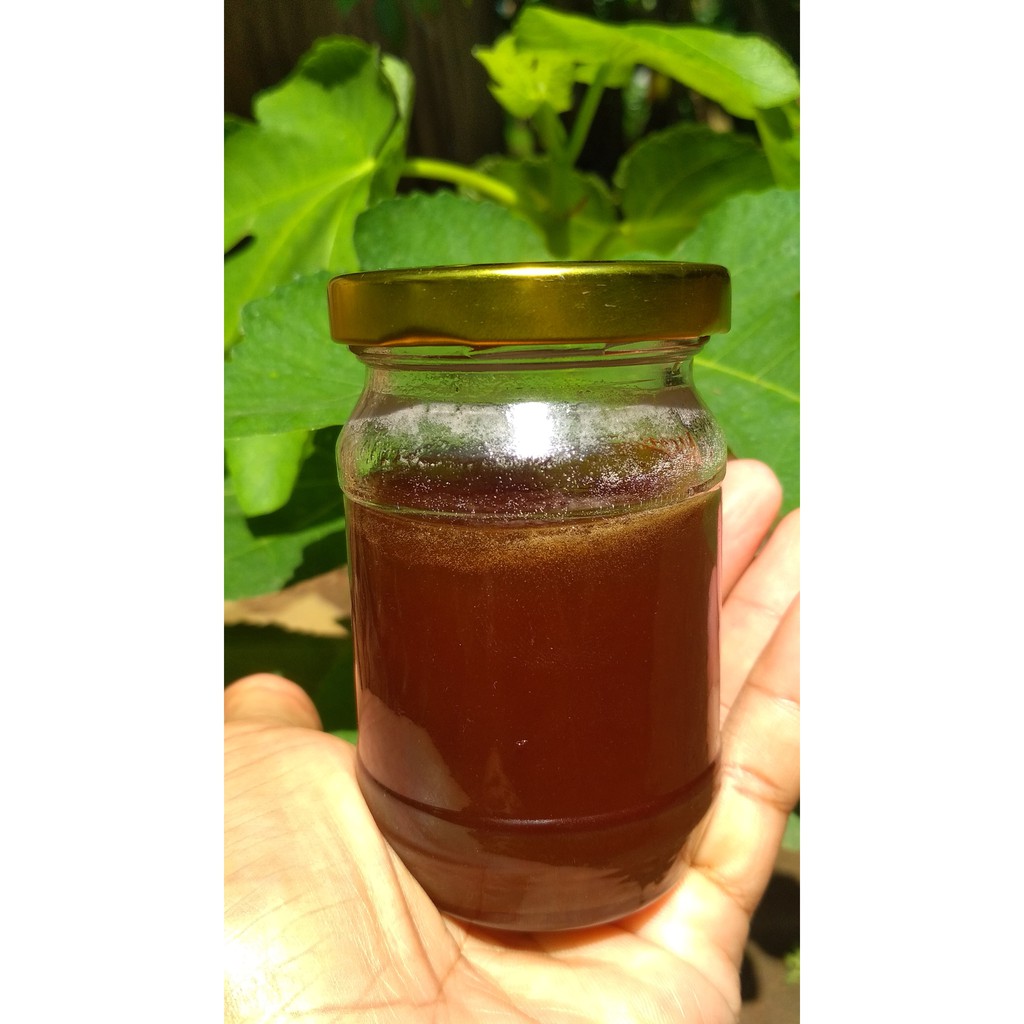 

MADU KLANCENG LAEVICEPS MURNI ASLI, MADU TRIGONA LAEVICEPS MURNI ASLI