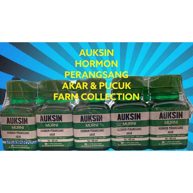 AUKSIN AUXIN 60ml 500ppm Perangsang Akar Tunas Daun Anggrek Aglonema Tanaman hias