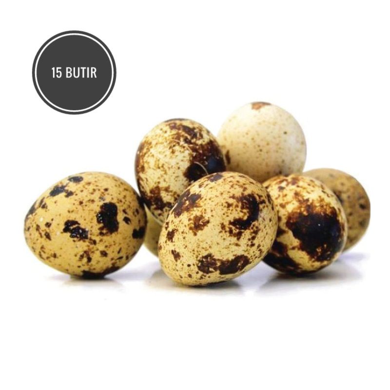 

Telur Puyuh