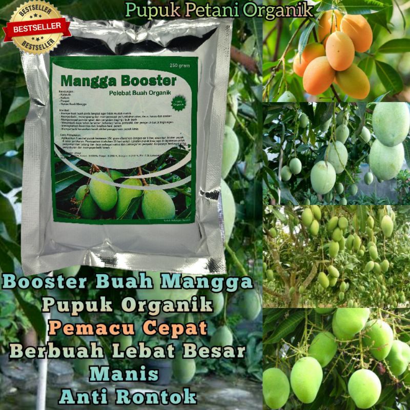 Jual Pupuk Organik Booster Mangga Perangsang Buah Agar Cepat Berbuah ...