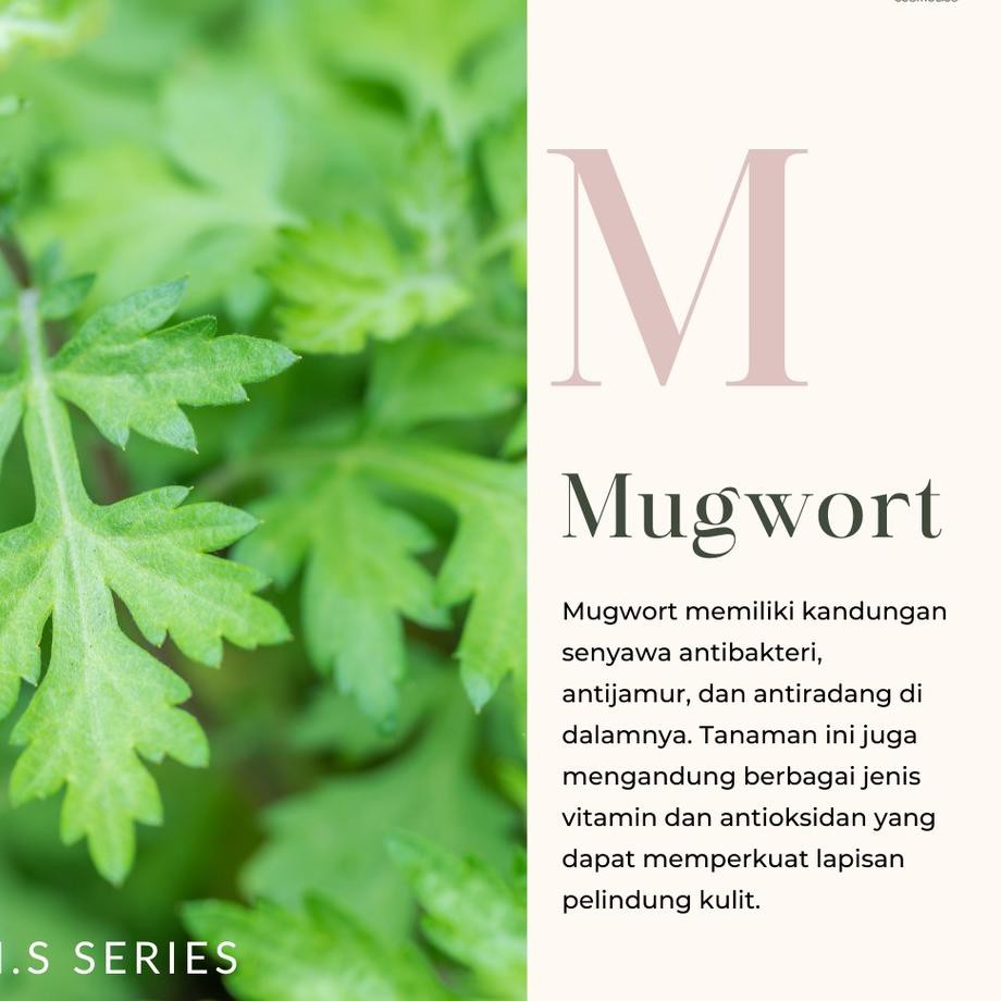 ➽ Adara P.M.S Series Clarifying Toner ➯