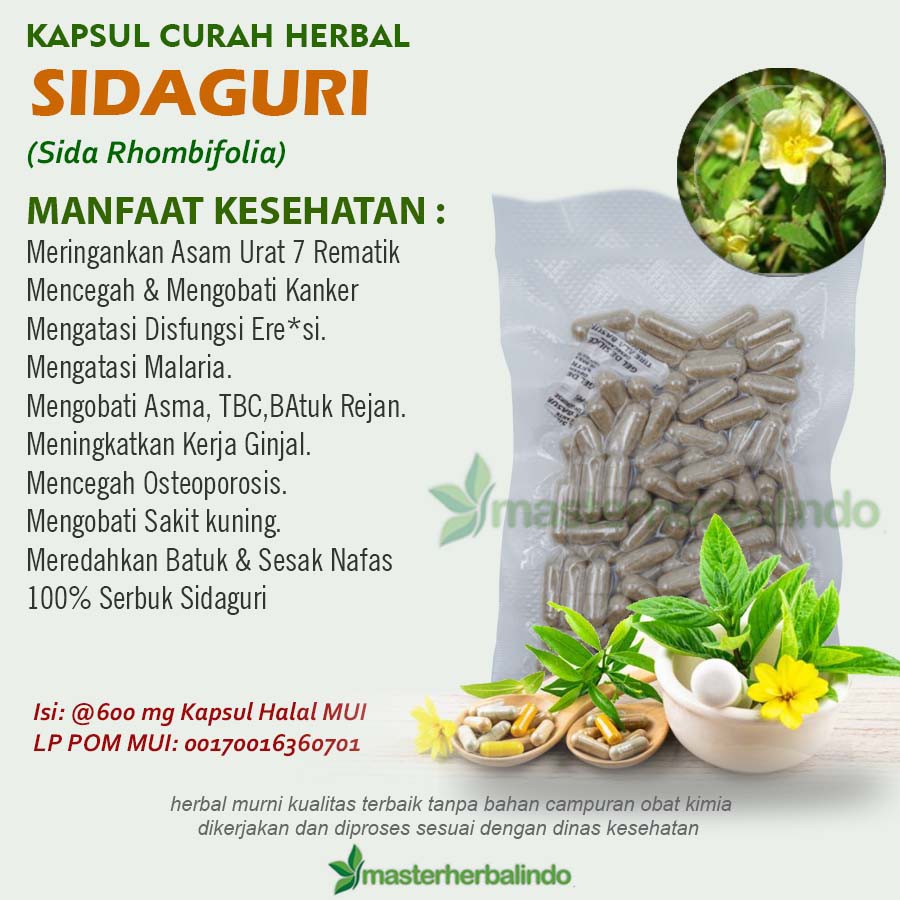 SIDAGURI 100 Kapsul Herbal Lemah Syahwat Eksim Asma Anti Radang Ginjal