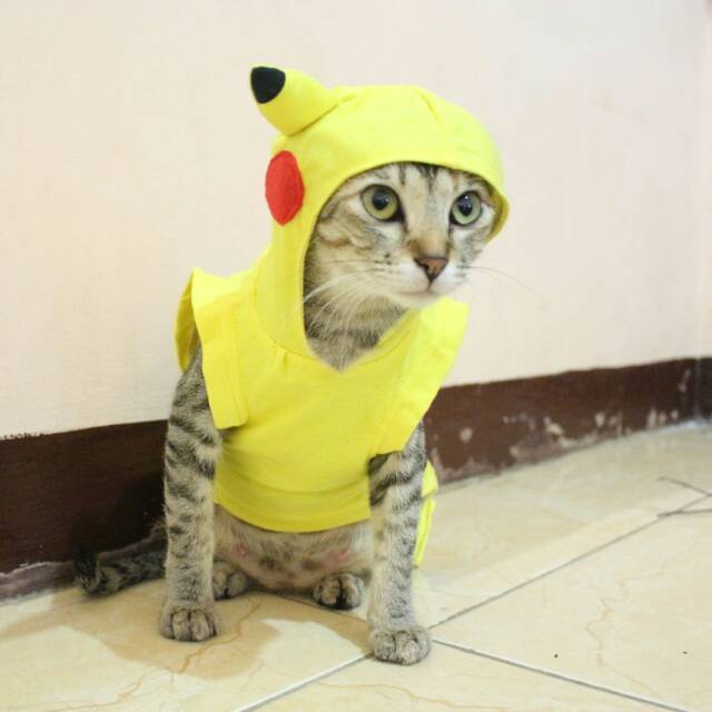 Kostum pikachu untuk kucing / kostum lomba murah meriah size S M L XL