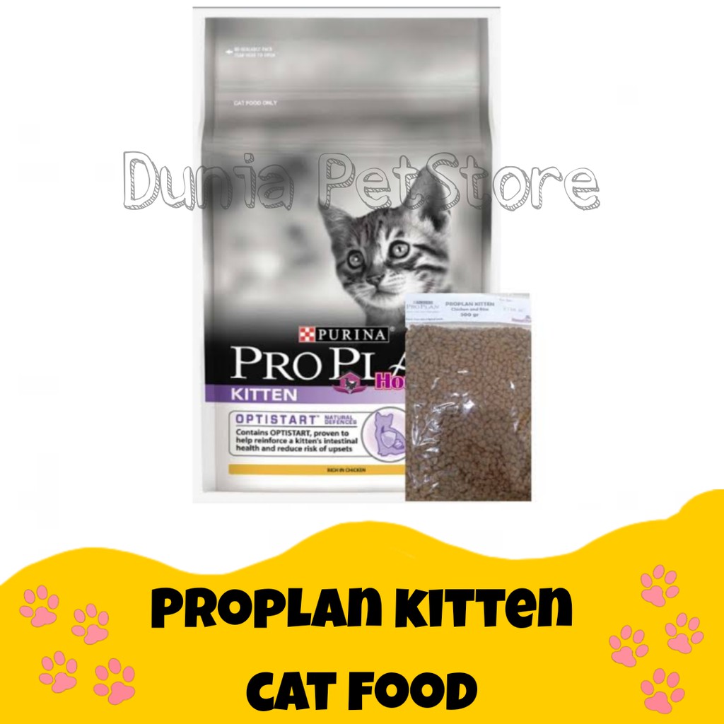 Proplan Kitten Dry Food