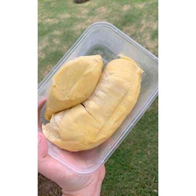 

PROMO DURIAN MONTONG PALU