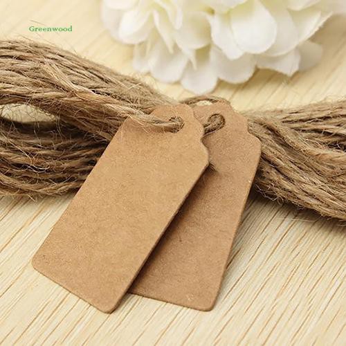 Green 100Pcs Tag Kertas untuk Koper Harga Nama  Hadiah DIY  