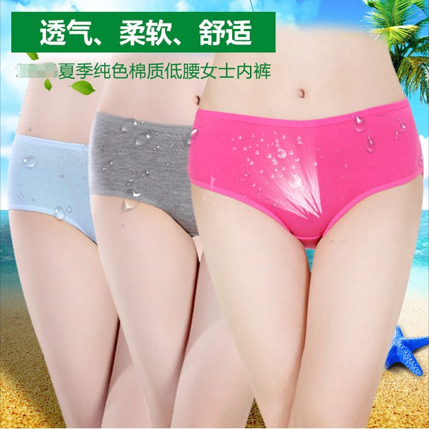 BEE - Undies Celana Dalam Wanita Polos Mid Waist Pakaian Dalam Import Cd Wanita PULO A001