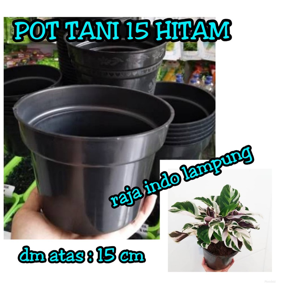 Pot Bunga 15cm Hitam - Toko Pot Tanaman Hias GrosirMurah Plastik 15 cm
