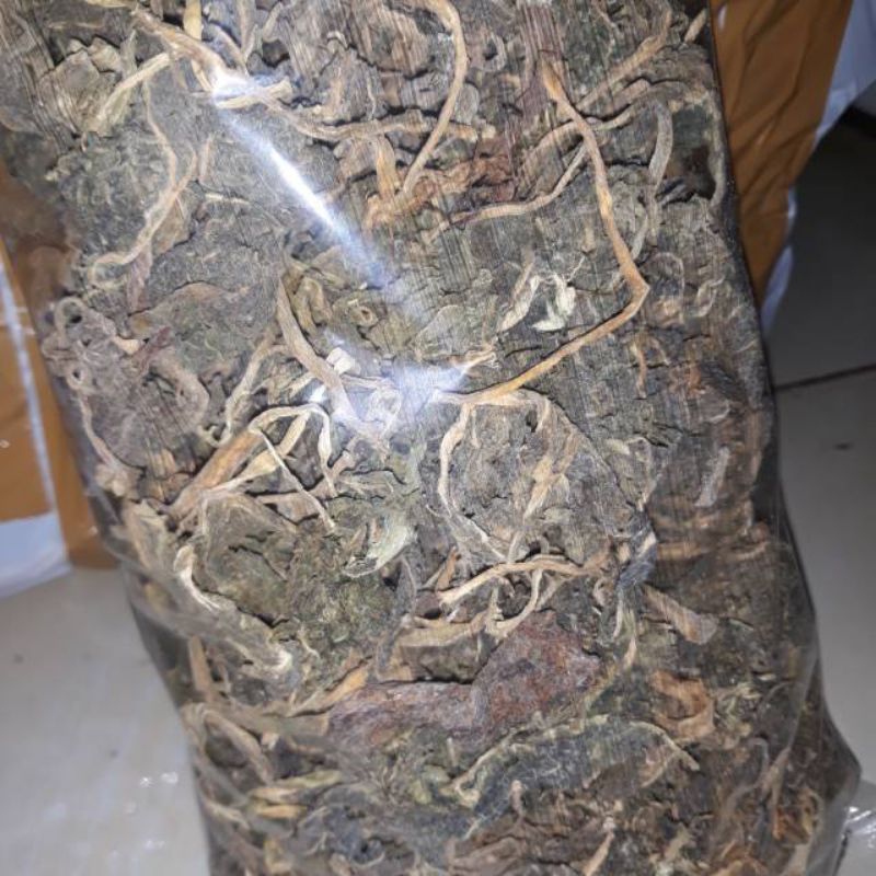 

Daun Kecubung Kering 100Gram Murah Isi Banyak