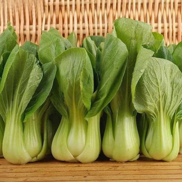 

[TERMURAH READY ALL VARIANT] Biji Sawi Daging Pak Choi Bok Choy Chinese Cabbage
