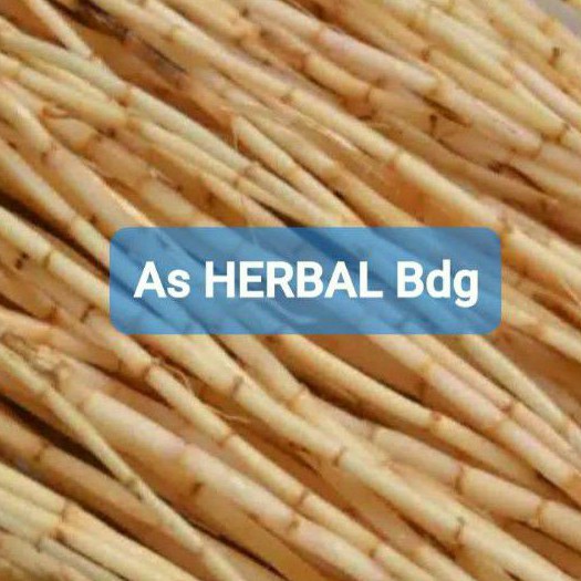 

Paket 5 kg akar alang alang atau ilalang segar ready-az