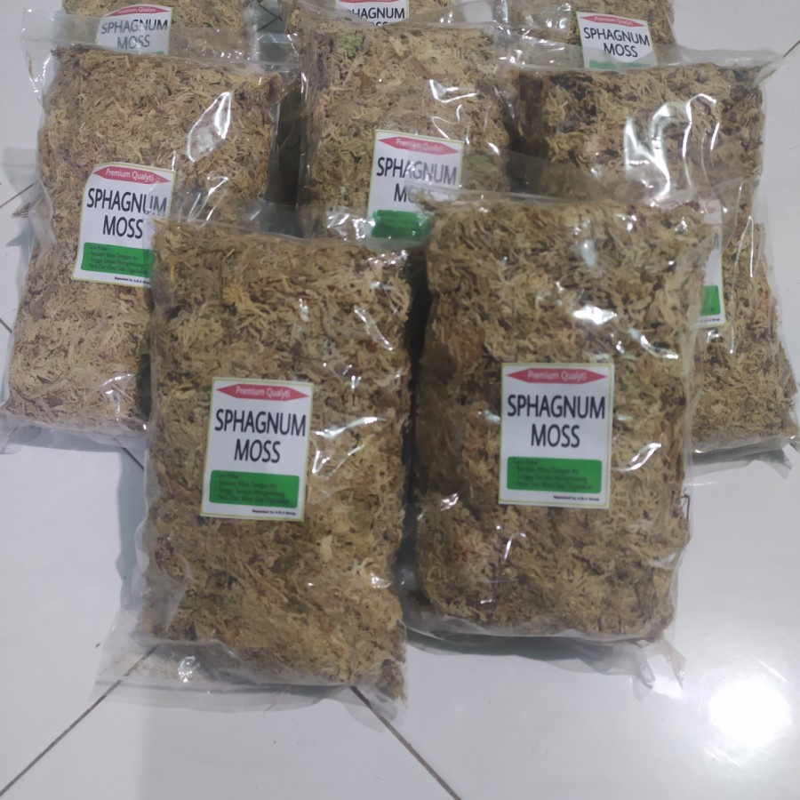 Spagnumm moss putih premium chili original- spagnum moss -carnivora pl