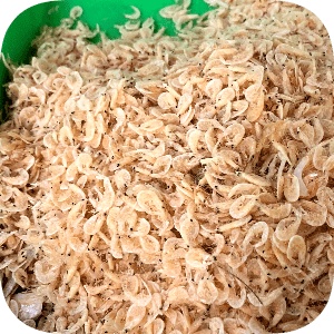 

Udang Rebon kering 100 g