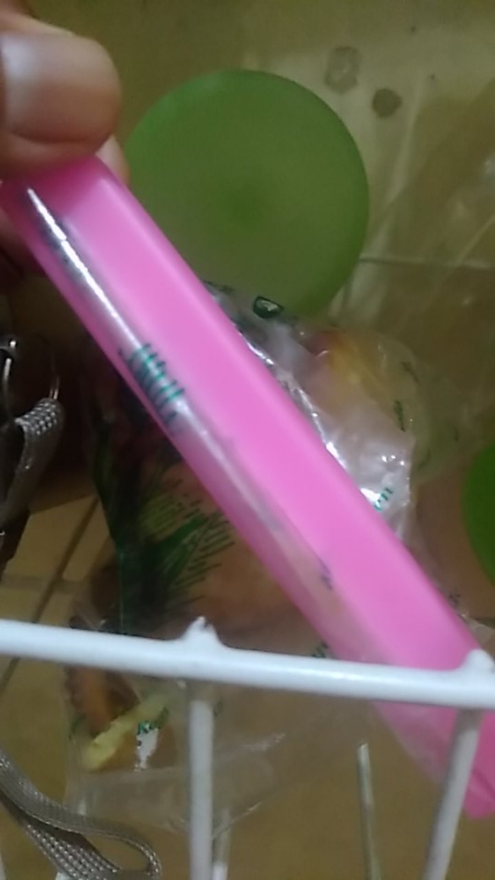 Ssc Segel Sealing Clip Penjepit Plastik Jepit Kantong Makanan Klip Seal Sealer Kemasan Snack