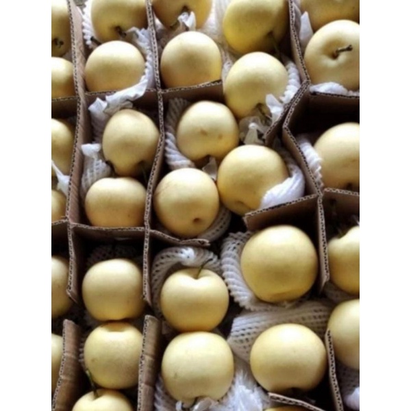 

Buah Pear
