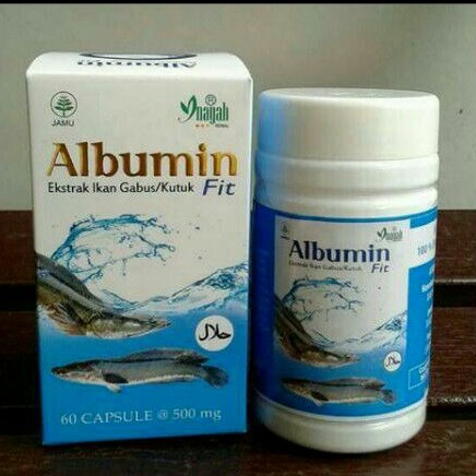 ALBUMIN FIT. EKSTRAK ALBUMIN KUTUK ~IKAN GABUS