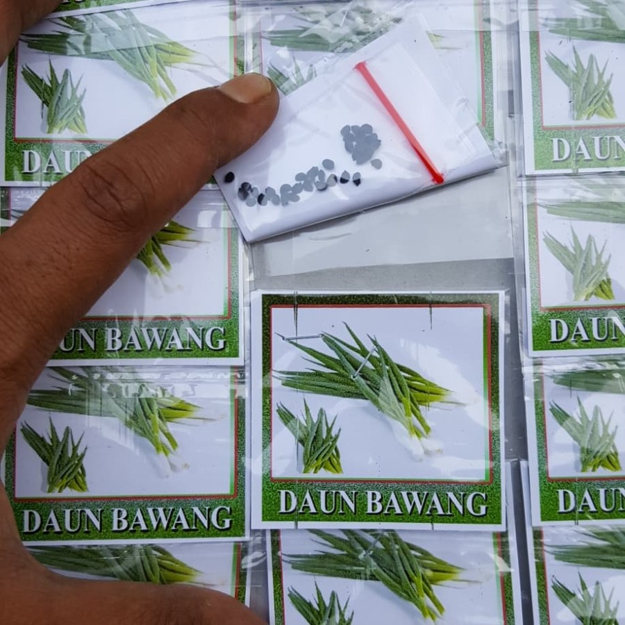 benih daun bawang / bibit daun bawang KECIL